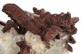 Natural, Red Quartz Crystal Cluster - Morocco #232864-3